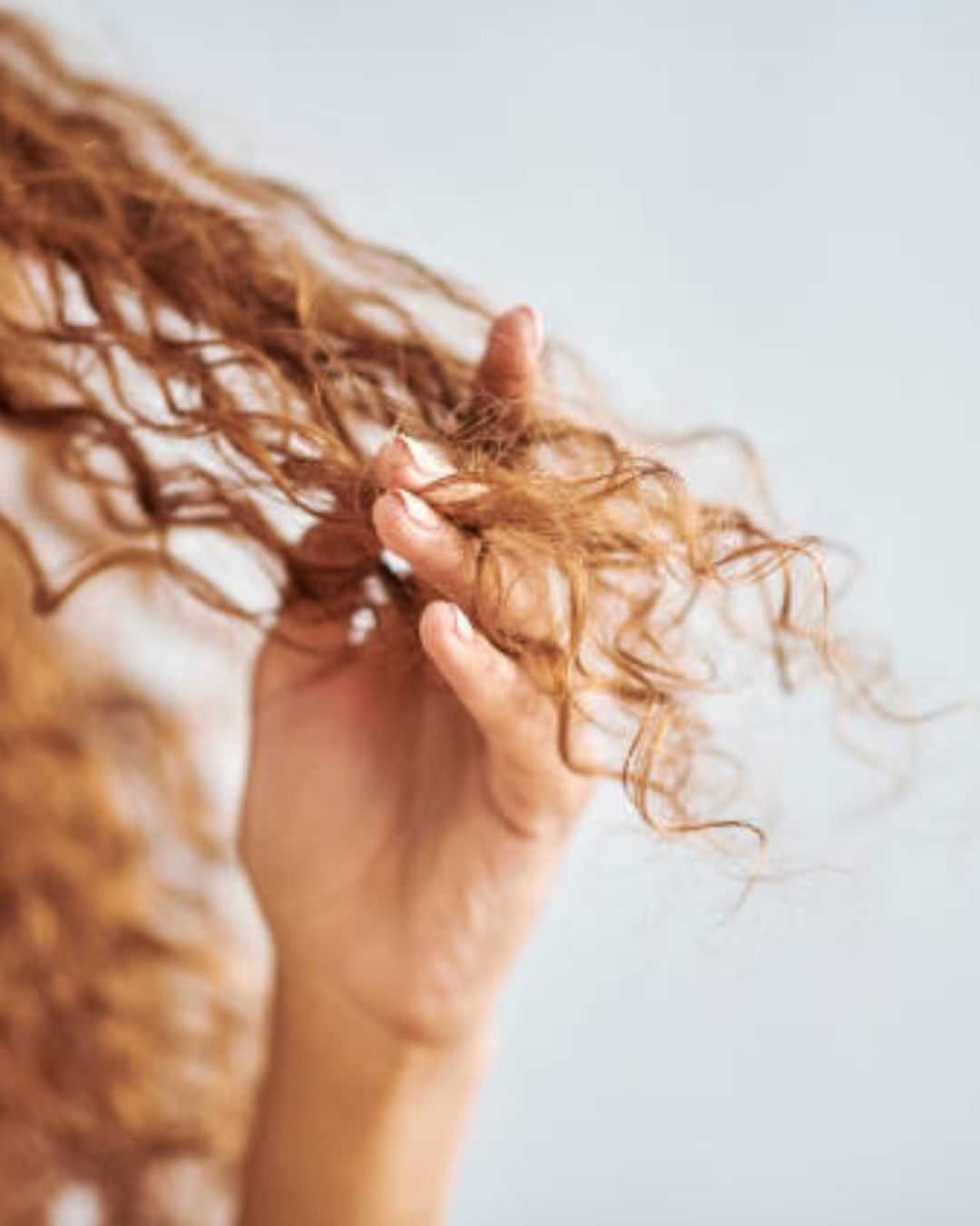 Hand gently holding curly, reddish hair strands against a neutral background.