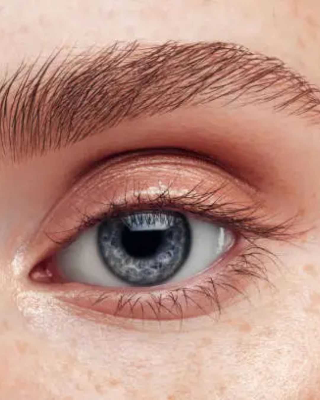 Close-up of a blue eye with shimmery eyeshadow and well-defined eyebrow.